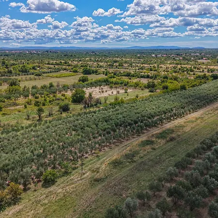 Rural Olive Krka By Interhome Oklaj